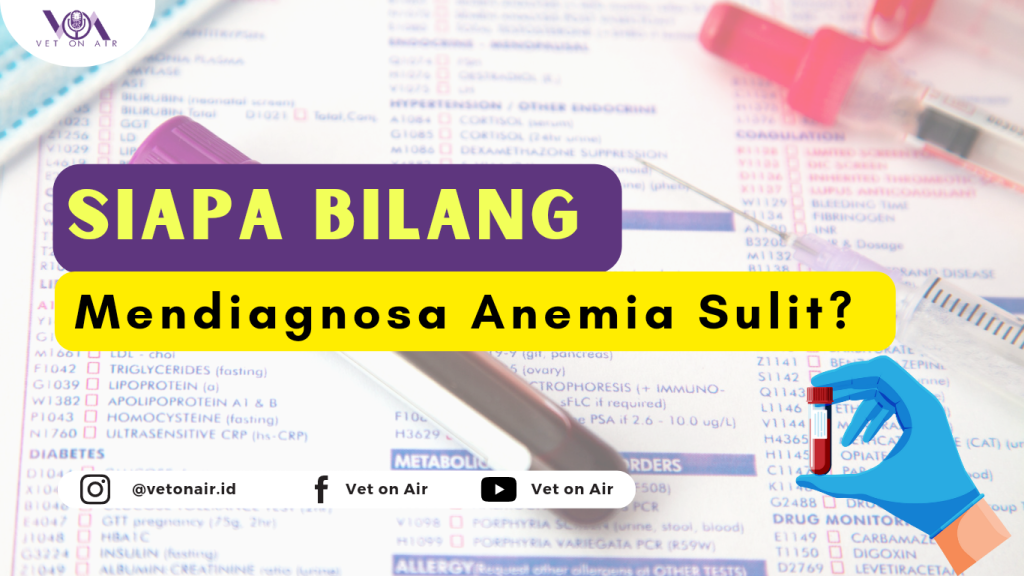 diagnosa-anemia